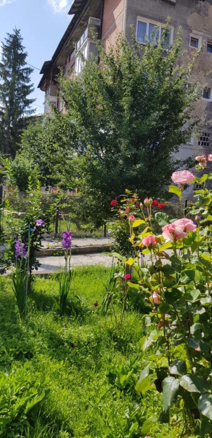 La Mihai Lupeni  Exterior foto
